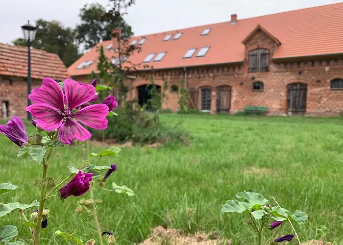 Ferienhof Weitblick Letschin photo