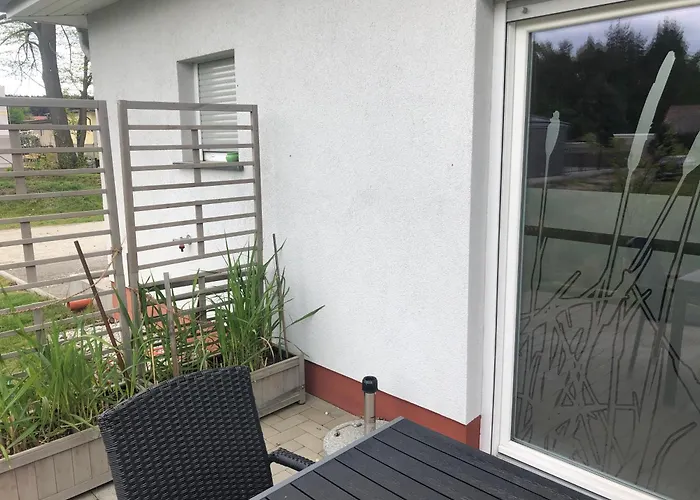 Schilfblume Villa Grosskoschen photo