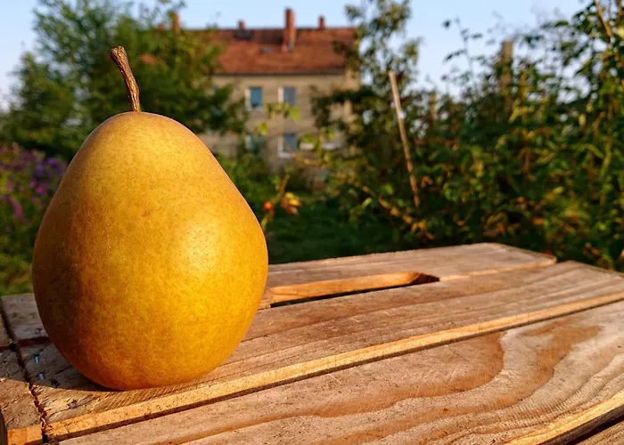 Ferienwohnung Butterbirne Niedergorsdorf φωτογραφία