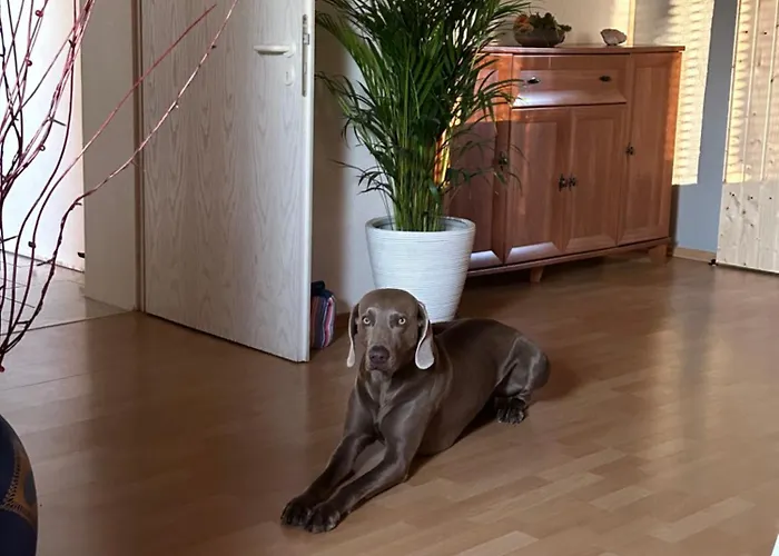 Ferienwohnung In Der Schorfheide photo