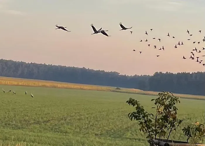 Ferienhaus Naturblick Drahnsdorf photo