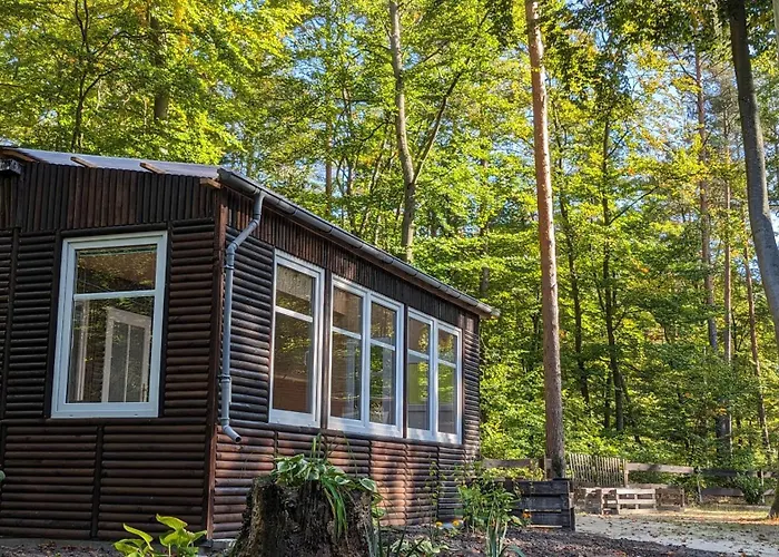 Bungalowdorf Briesensee Neu Zauche photo